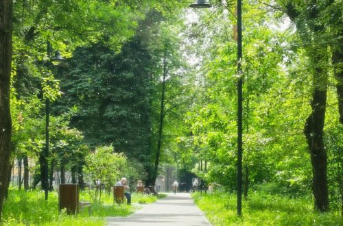 Открытая тренировка в летнем парке с Антоном Шипулиным. 18 и 19 Августа 2026 г.