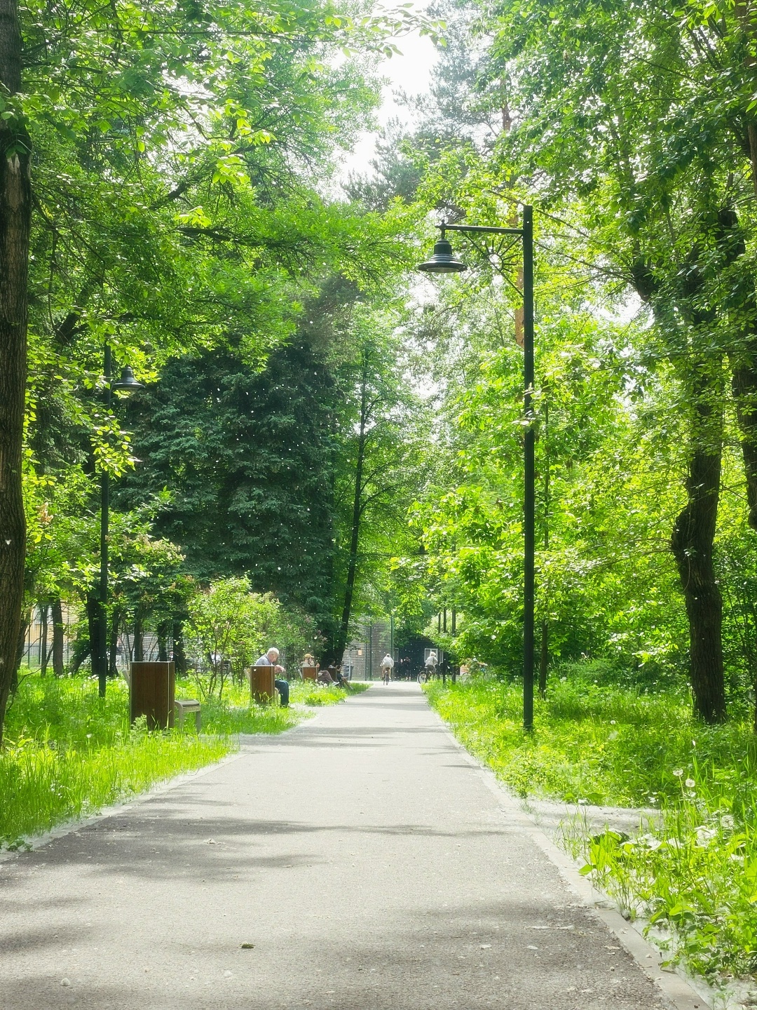 Открытая тренировка в летнем парке с Антоном Шипулиным. 18 и 19 Августа 2026 г.